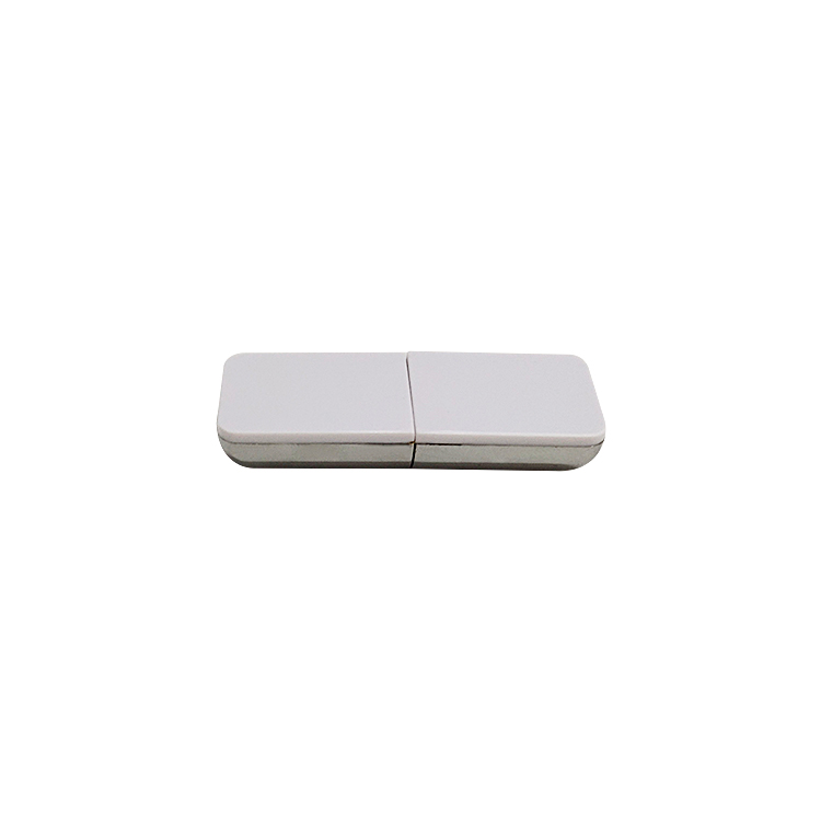 Factory direct price 128mb-128gb light classic plastic 2gb flash drive LWU173